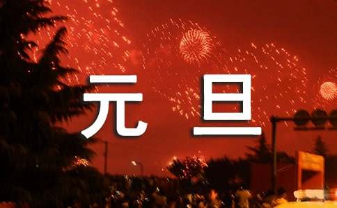 元旦记事作文800字（精选16篇）